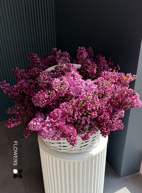 Корзина с 35 ветками сирени "Лайли"