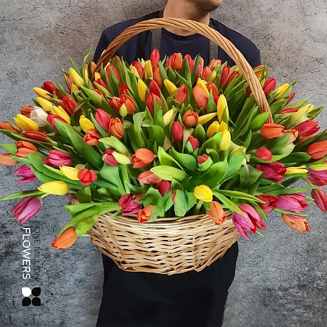 картинка Корзина с 201 тюльпаном Микс